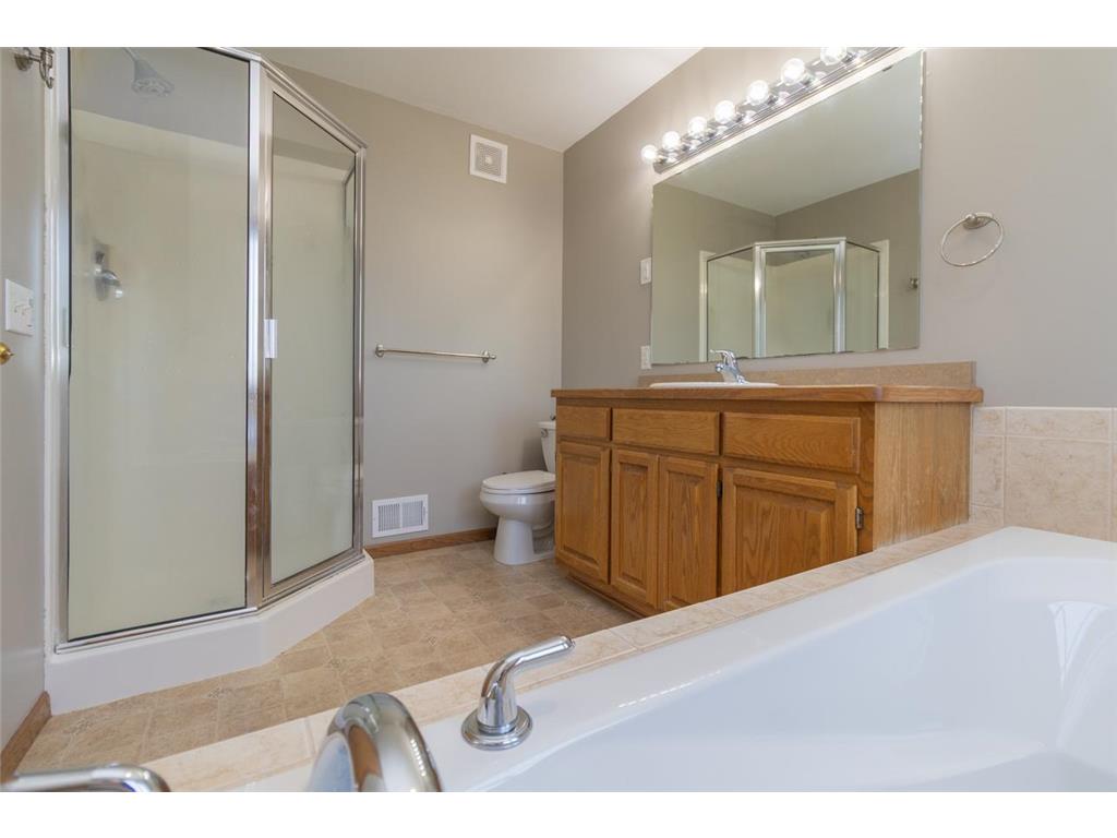13859 Birchwood Avenue Rosemount MN 55068 7080421 image24