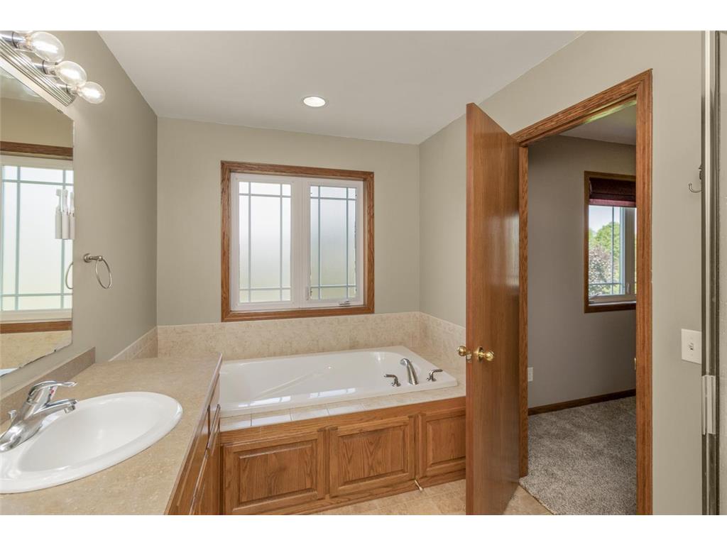 13859 Birchwood Avenue Rosemount MN 55068 7080421 image25