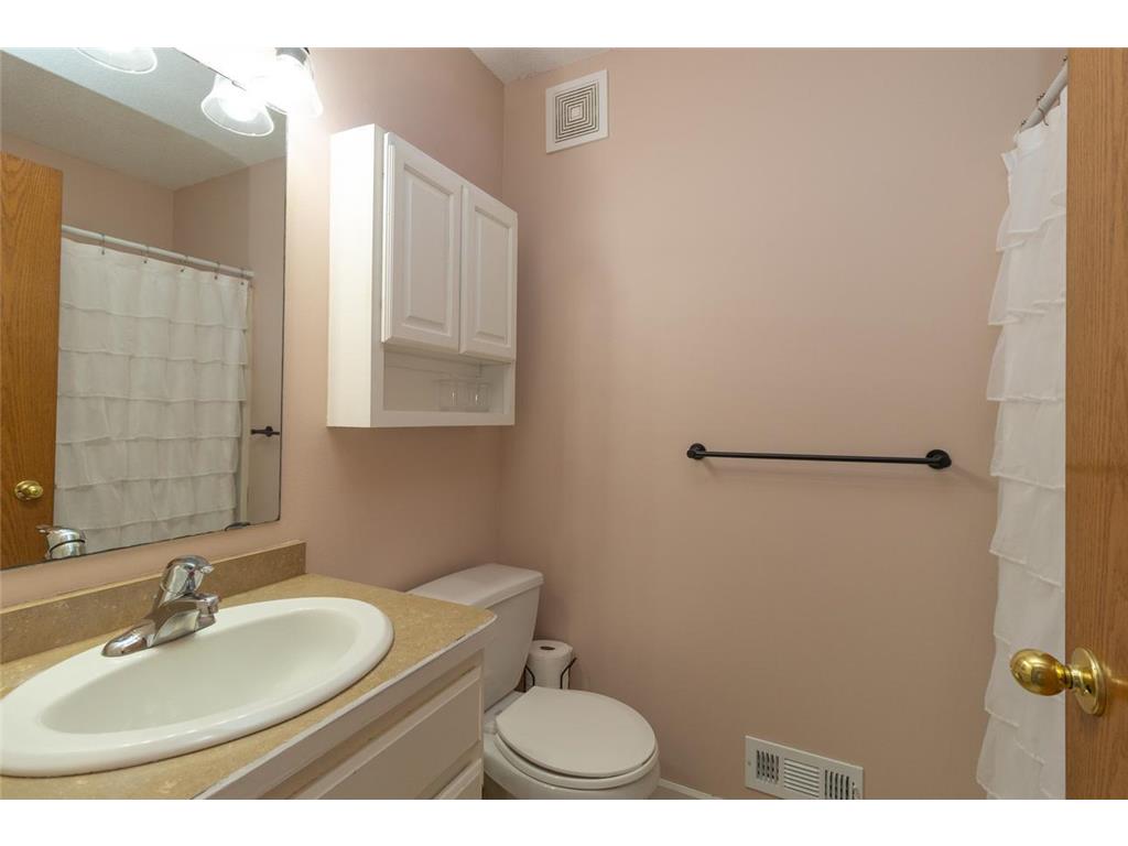 13859 Birchwood Avenue Rosemount MN 55068 7080421 image27