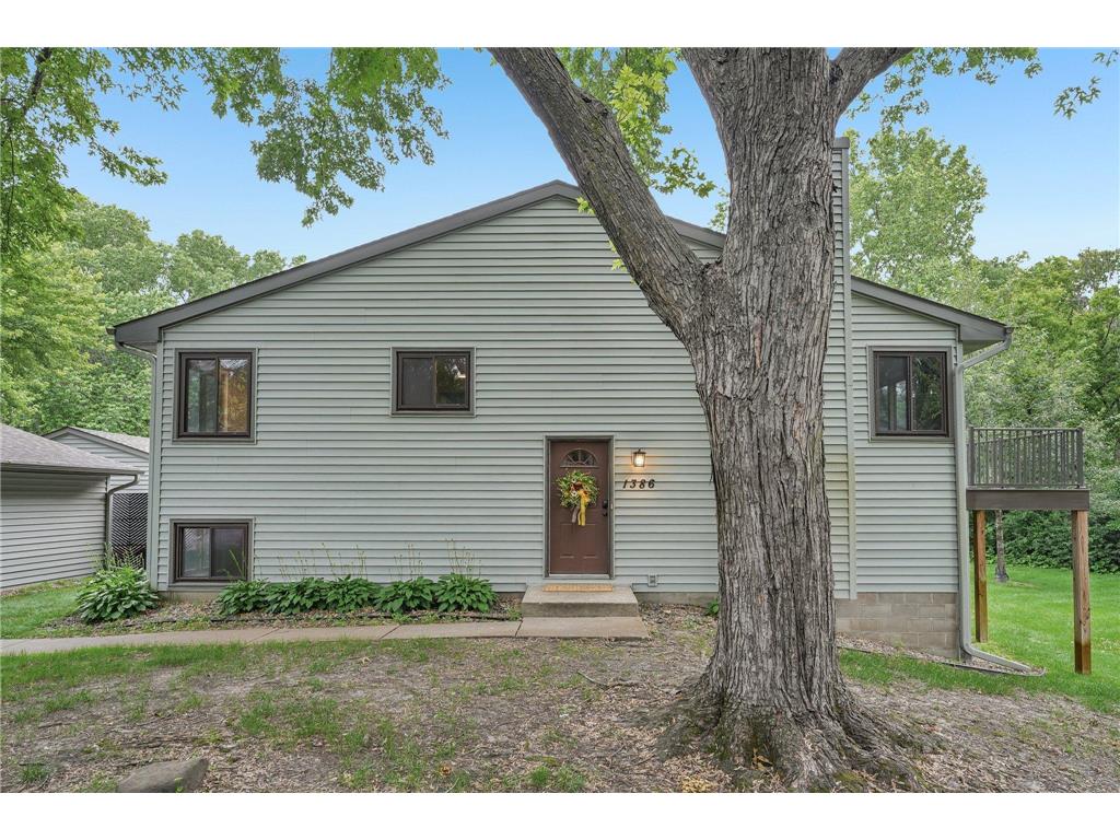 1386 Arden View Drive Arden Hills MN 55112 7100525 image4