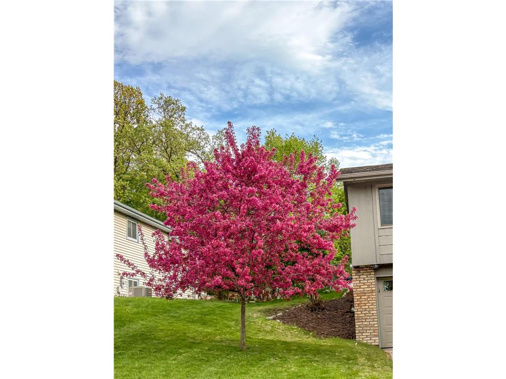 13863 62nd Avenue N Maple Grove MN 55311 7050012 image36