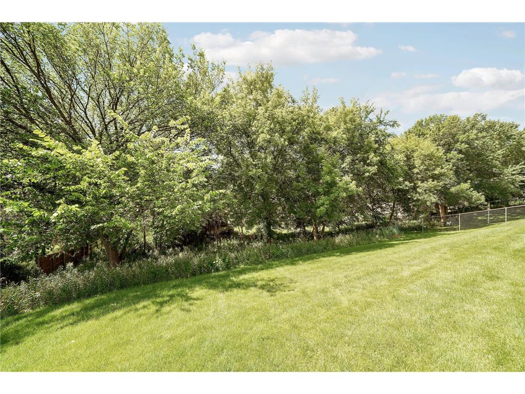 13865 Forest Hill Road Eden Prairie MN 55346 7098656 image61