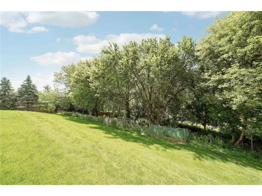 13865 Forest Hill Road Eden Prairie MN 55346 7098656 image62