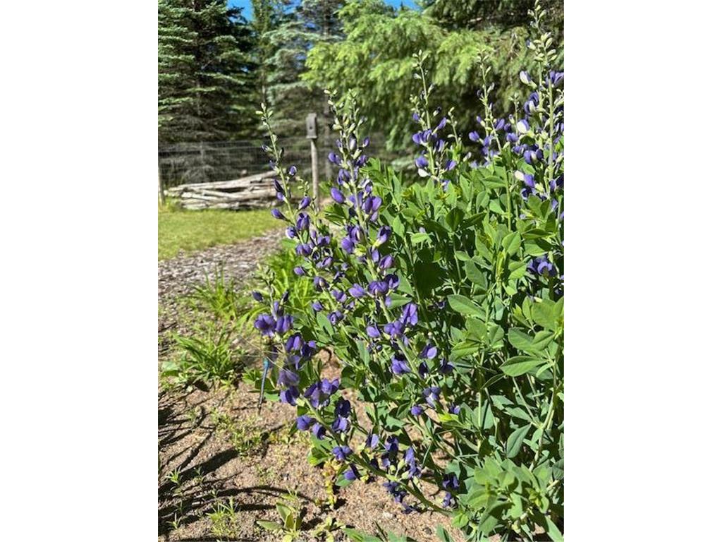 13869 Hardy Lake Road SW Pillager MN 56473 6814276 image41