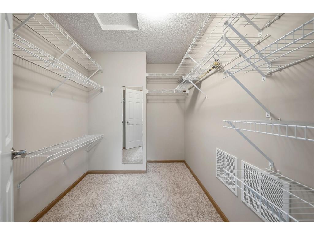 13872 Autumnwood Court #3001 Rosemount MN 55068 7059957 image17