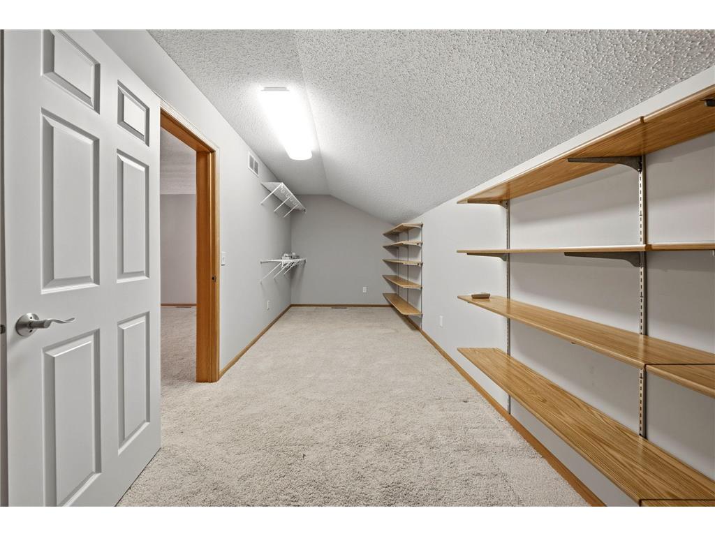 13872 Autumnwood Court #3001 Rosemount MN 55068 7059957 image32