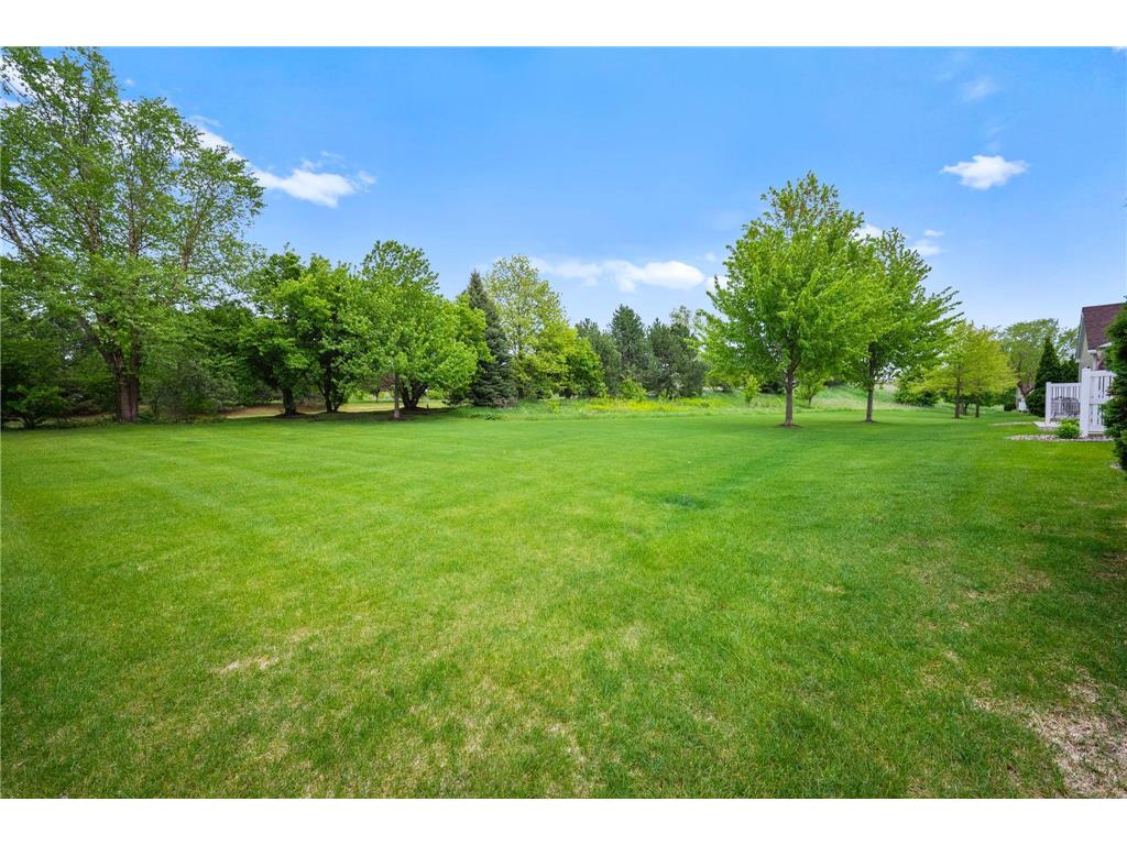 13872 Autumnwood Court #3001 Rosemount MN 55068 7059957 image39