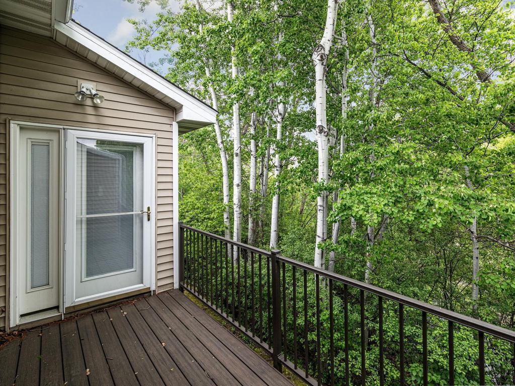 13877 Ventura Place Savage MN 55378 7053933 image21