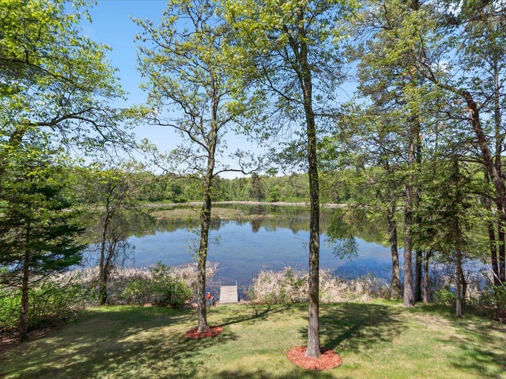 1388 136th Street SW Sylvan Twp MN 56473 7084077 image20