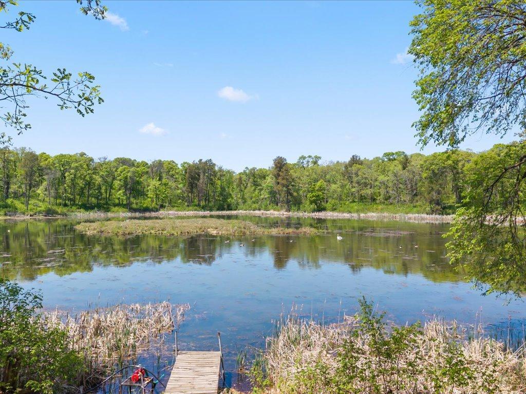 1388 136th Street SW Sylvan Twp MN 56473 7084077 image36