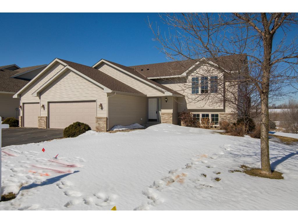 13887 Birchwood Avenue, Rosemount, MN 55068 MLS 4917174 Edina Realty