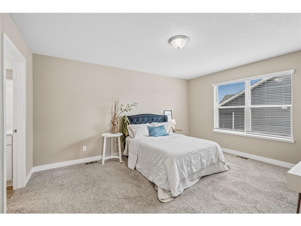 1389 Freedom Lane Delano MN 55328 7068240 image24