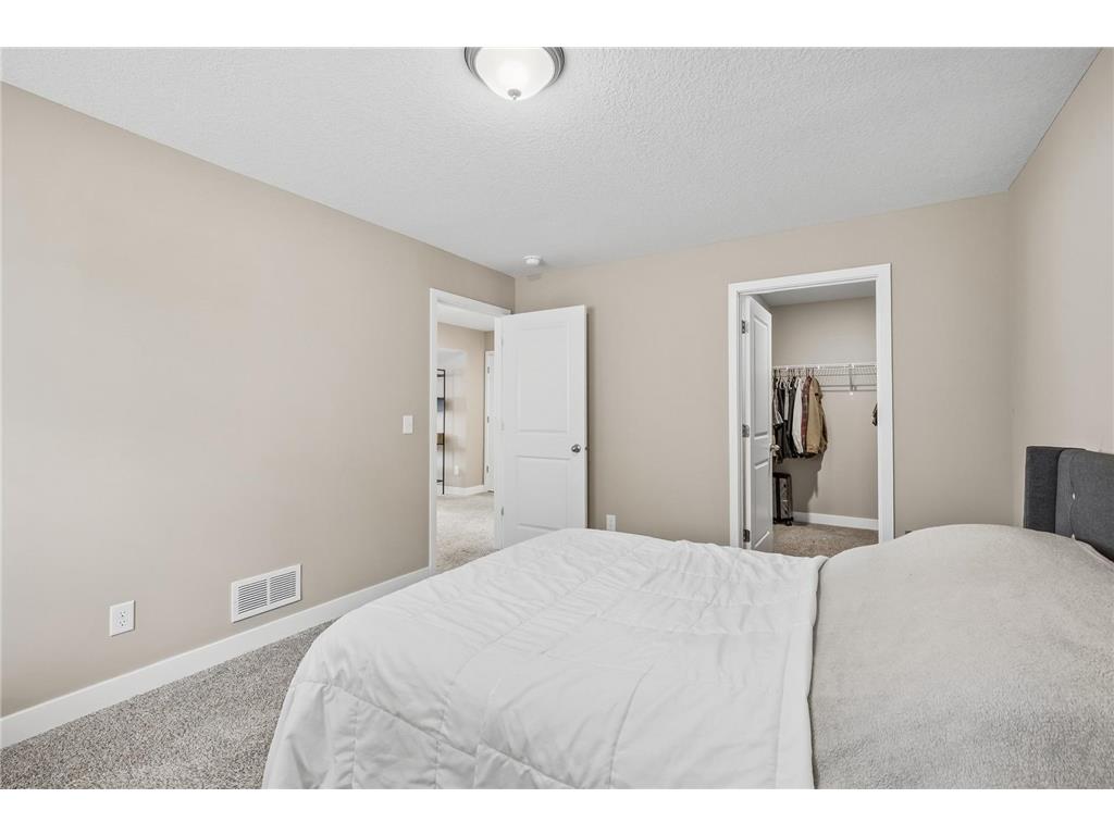 1389 Freedom Lane Delano MN 55328 7068240 image41