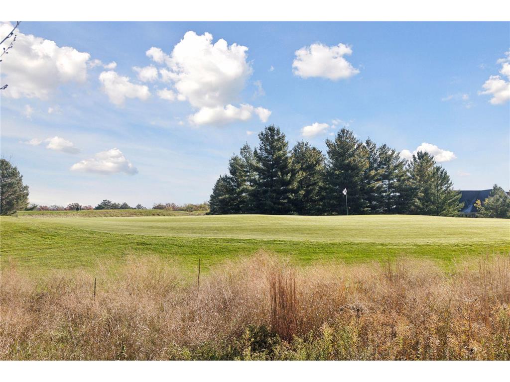 1389 Palmer Drive N Lake Elmo MN 55042 7001388 image93