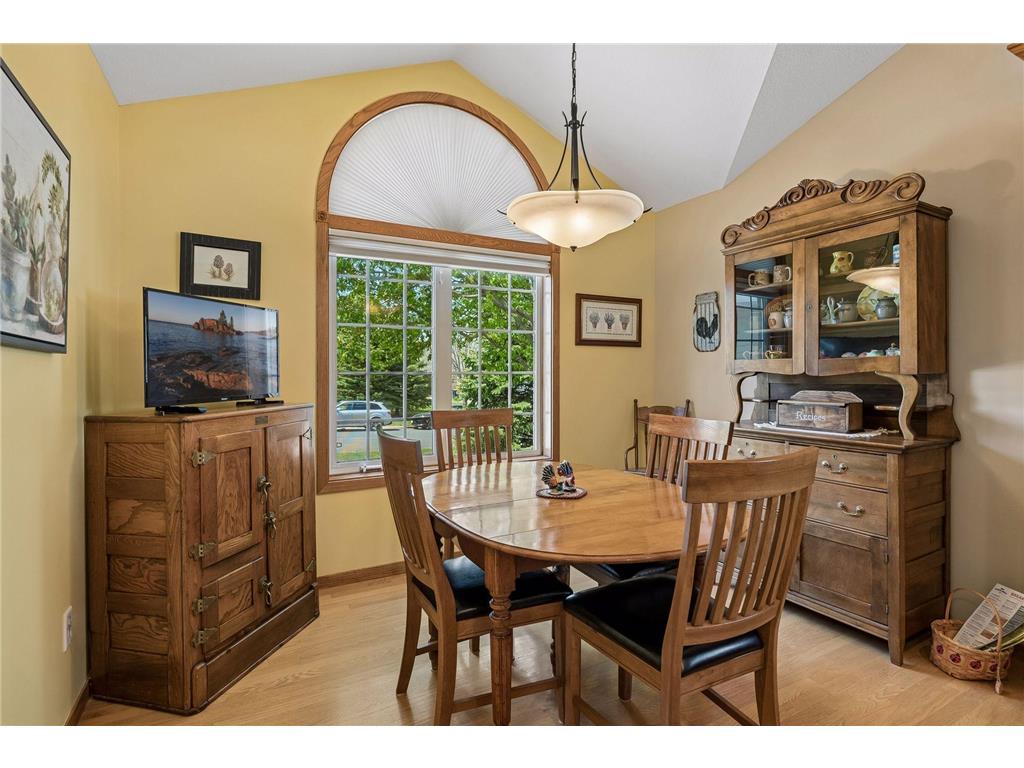 13890 Blanca Court Rosemount MN 55068 7043079 image12