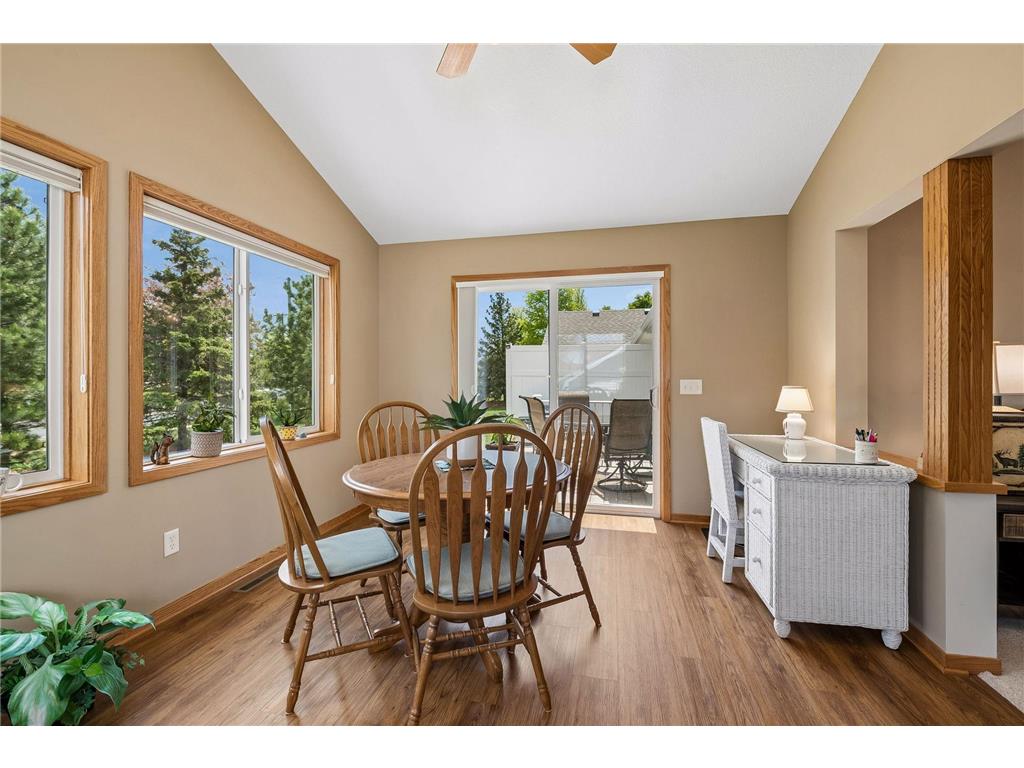 13890 Blanca Court Rosemount MN 55068 7043079 image22