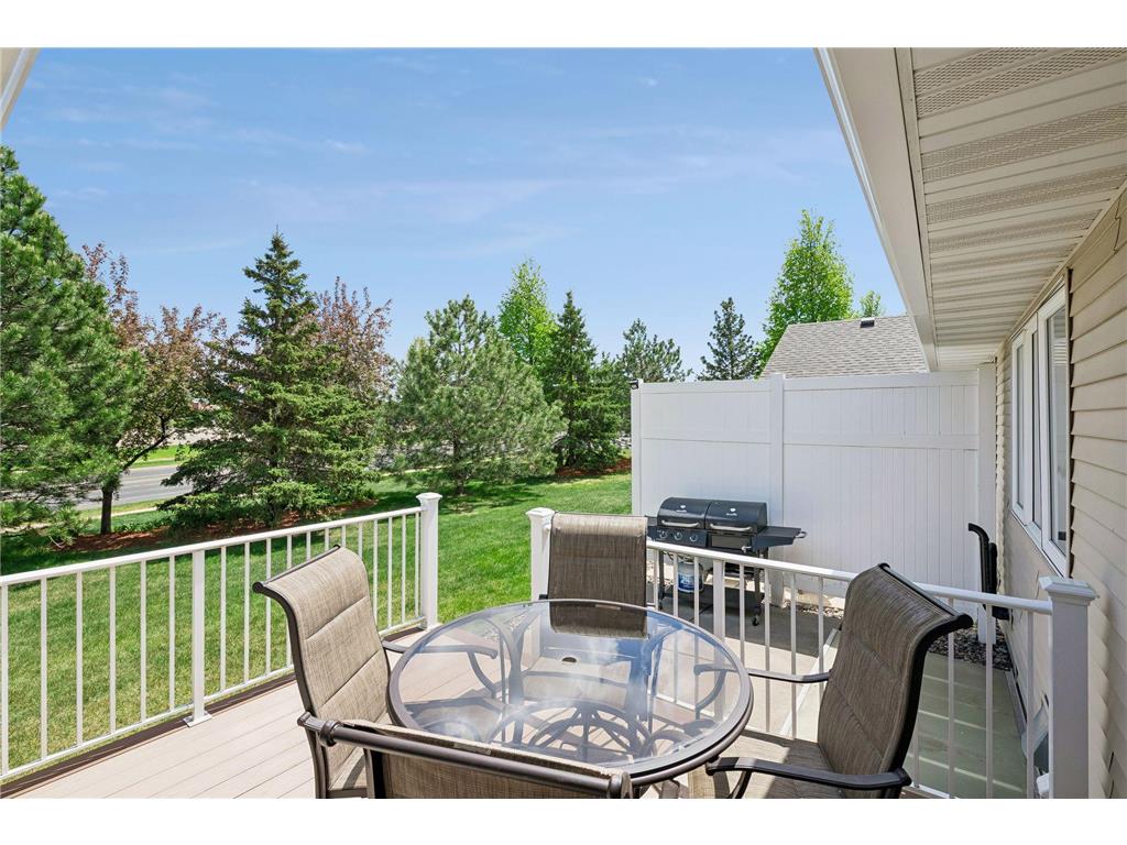 13890 Blanca Court Rosemount MN 55068 7043079 image44