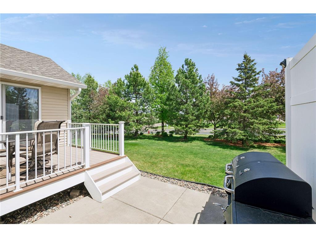 13890 Blanca Court Rosemount MN 55068 7043079 image45