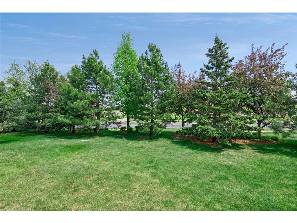 13890 Blanca Court Rosemount MN 55068 7043079 image46