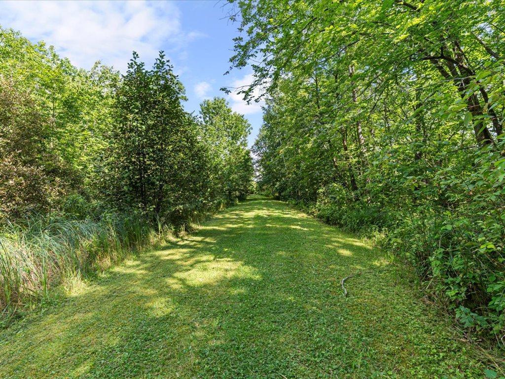 13893 County Road 116 Center Twp MN 56465 - Lower Mission 6780728 image12