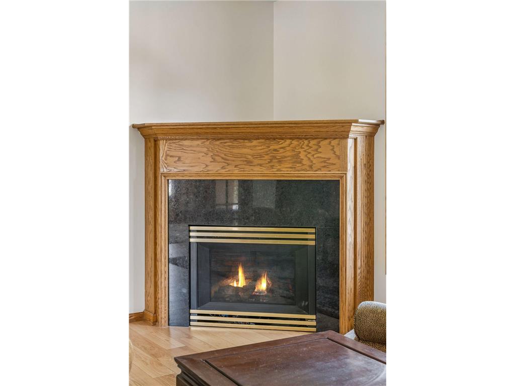 13893 Redwood Street NW Andover MN 55304 7073274 image19