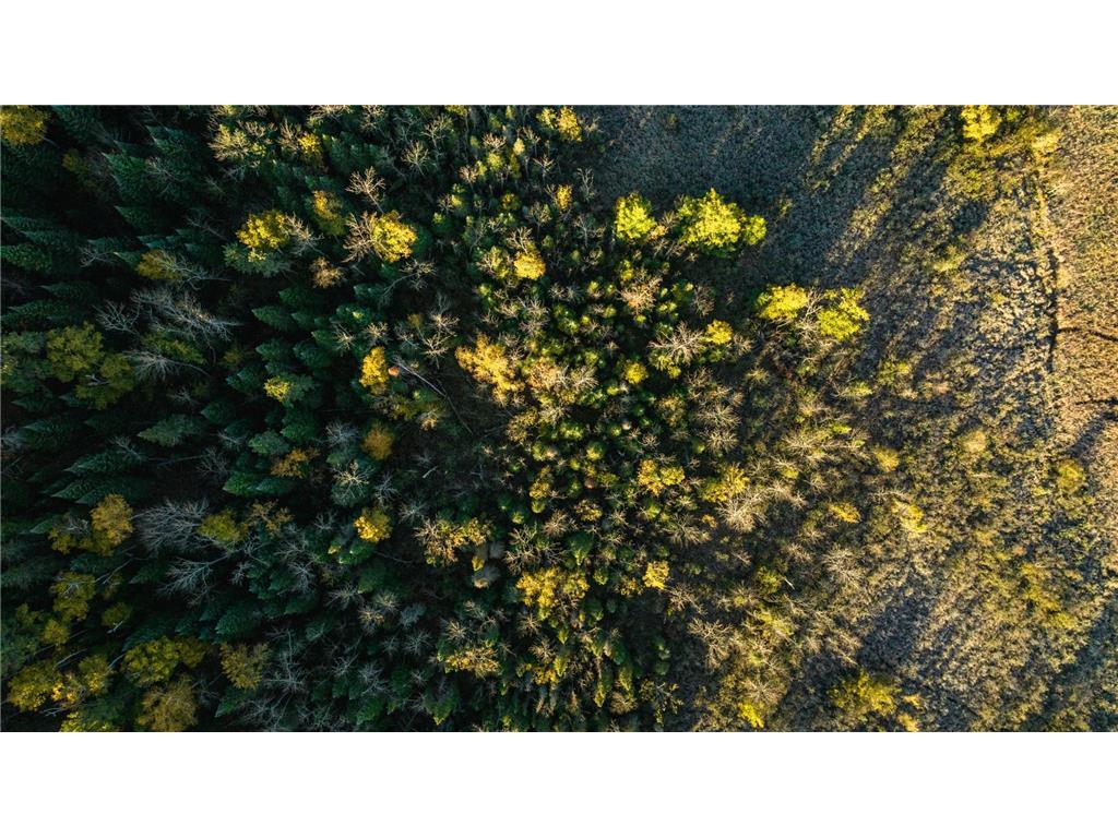 13895 Gazelle Trail Park Rapids MN 56470 - Potato 6458660 image11