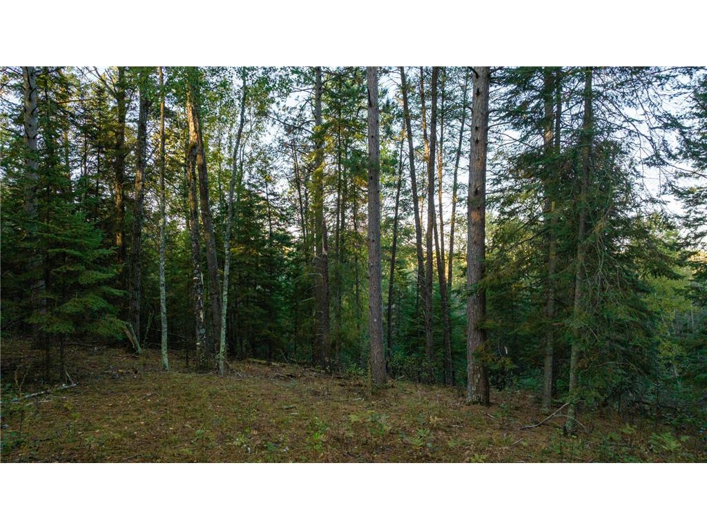 13895 Gazelle Trail Park Rapids MN 56470 - Potato 6458660 image2