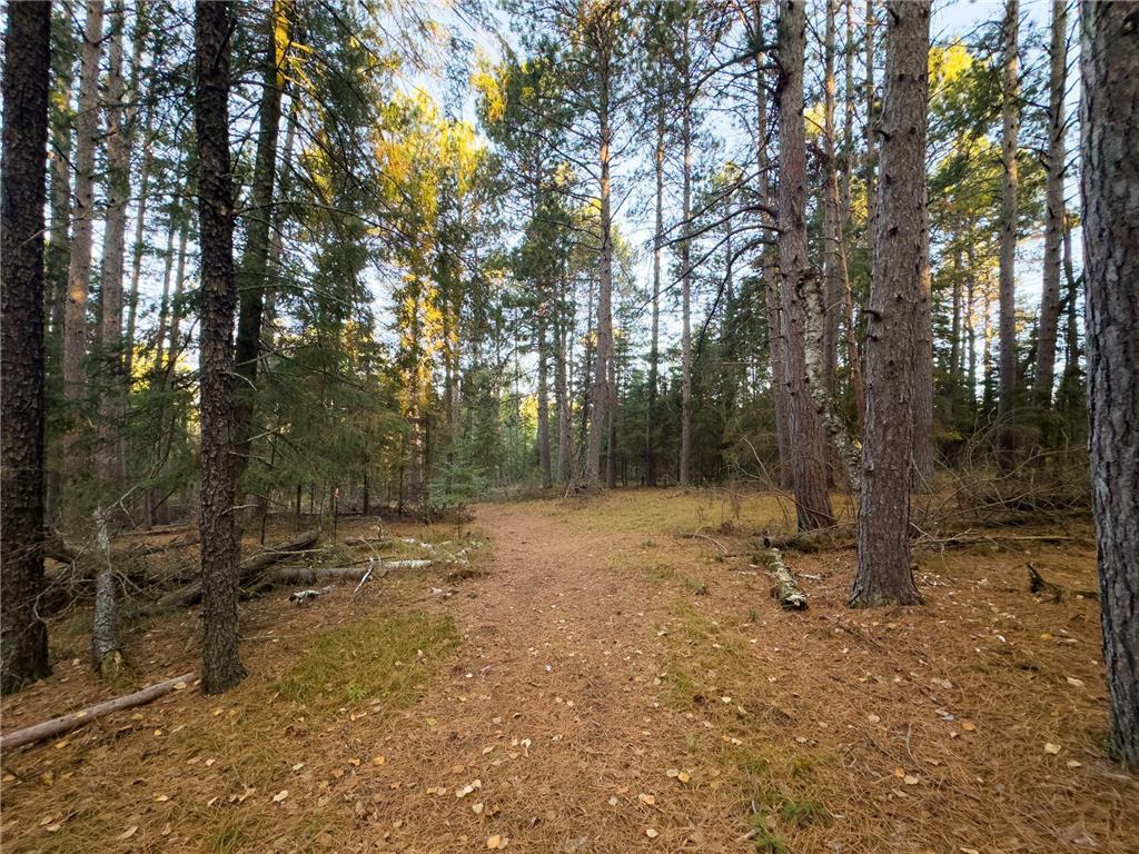 13895 Gazelle Trail Park Rapids MN 56470 - Potato 6458660 image3