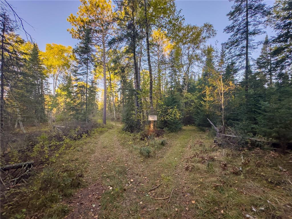 13895 Gazelle Trail Park Rapids MN 56470 - Potato 6458660 image4