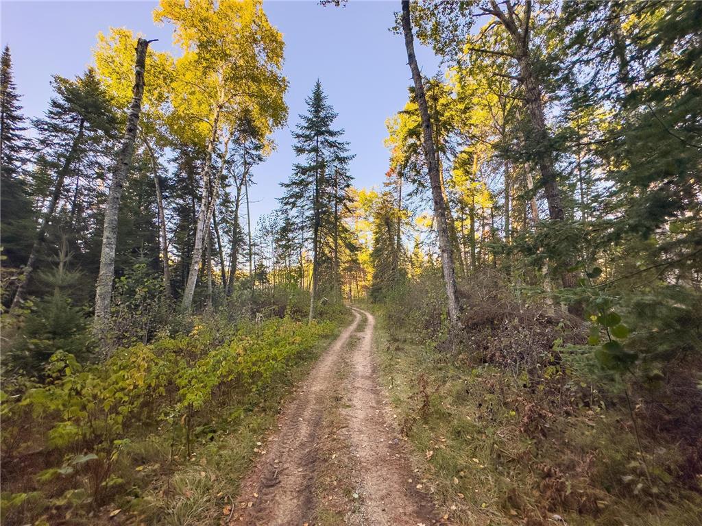 13895 Gazelle Trail Park Rapids MN 56470 - Potato 6458660 image5