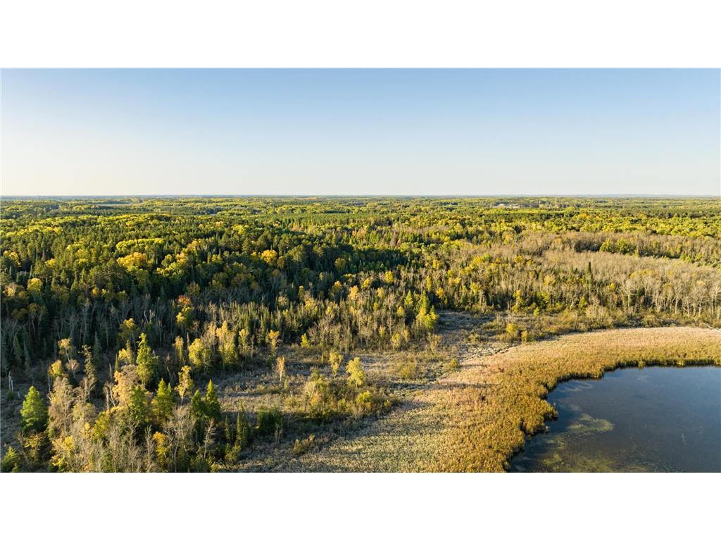 13895 Gazelle Trail Park Rapids MN 56470 - Potato 6458660 image8