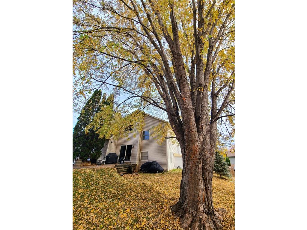 13915 Echo Park Lane Burnsville MN 55337 6453899 image1