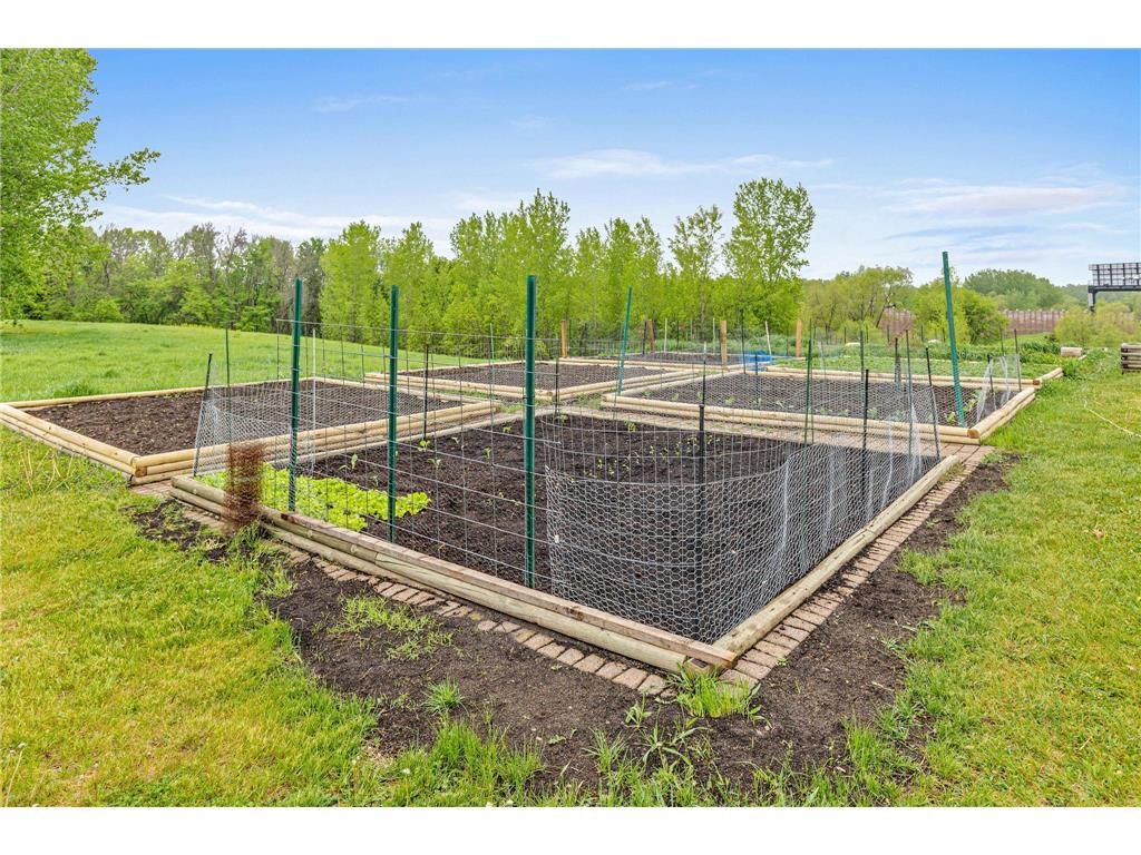 13915 Iris Avenue Rogers MN 55374 7067799 image30
