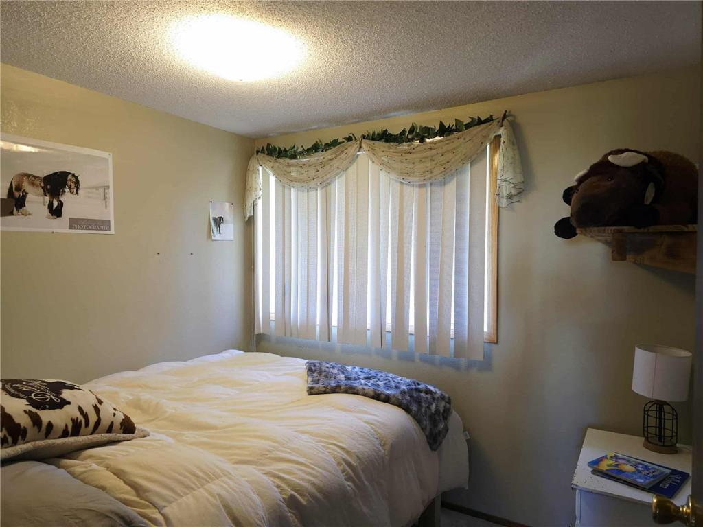 13919 State Highway 32 SE Red Lake Falls MN 56750 6795027 image13