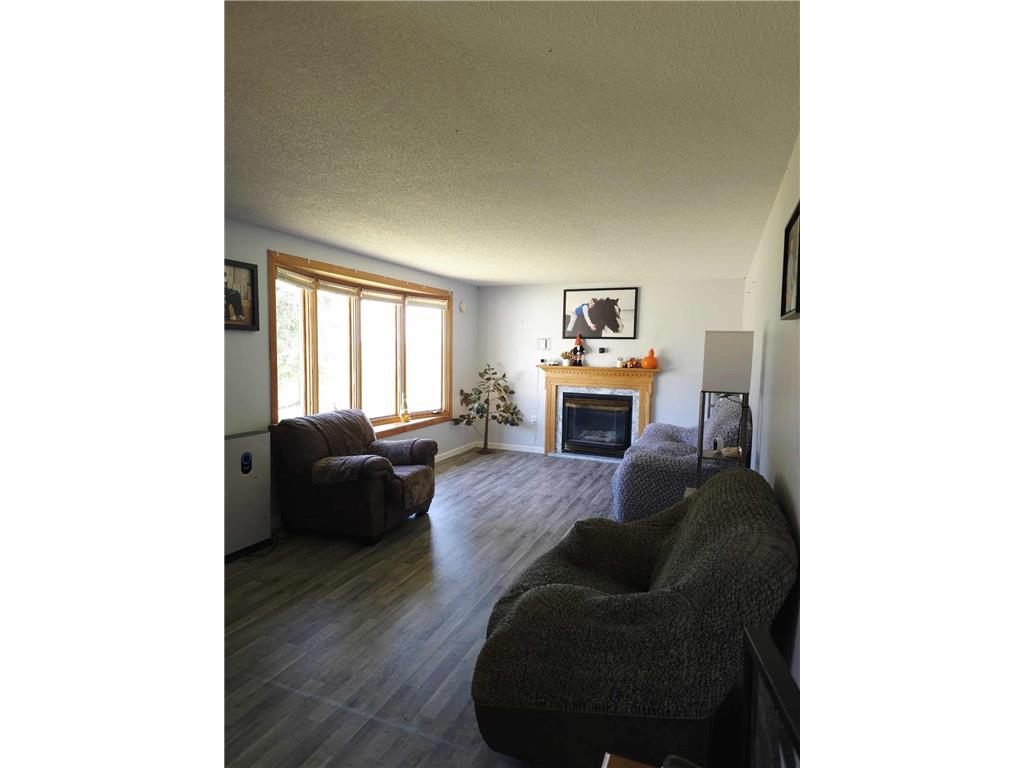 13919 State Highway 32 SE Red Lake Falls MN 56750 6795027 image2