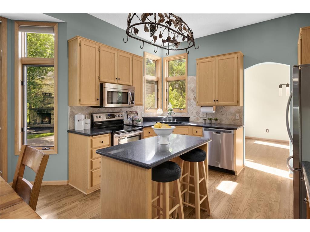 13923 Maryland Avenue Savage MN 55378 7110547 image10