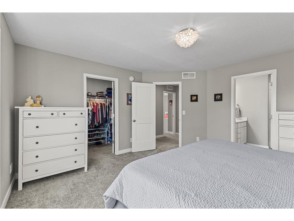 13924 Ashley Court Rosemount MN 55068 7088743 image27