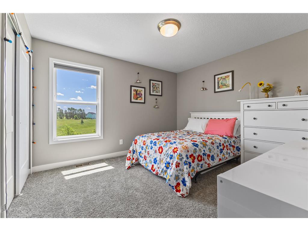 13924 Ashley Court Rosemount MN 55068 7088743 image33