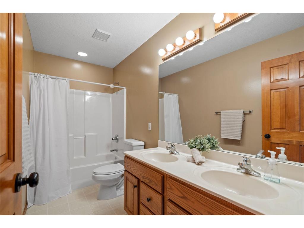 1393 Jefferson Street Hastings MN 55033 7062555 image36