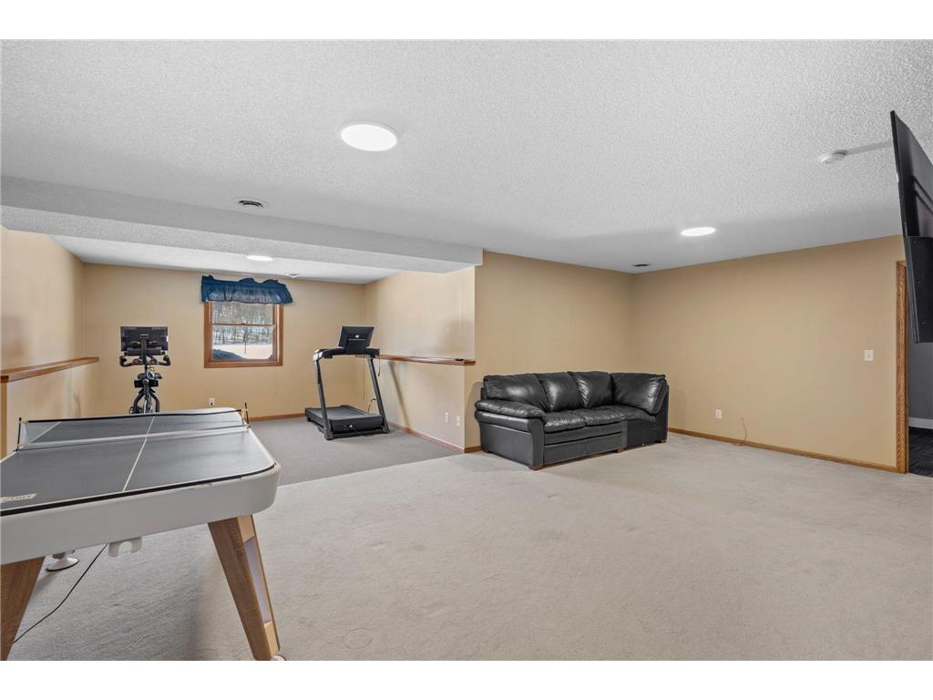 1393 Jefferson Street Hastings MN 55033 7062555 image38