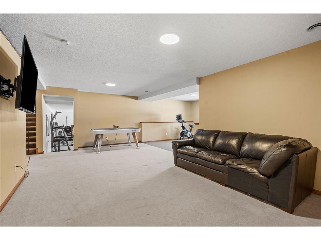 1393 Jefferson Street Hastings MN 55033 7062555 image39