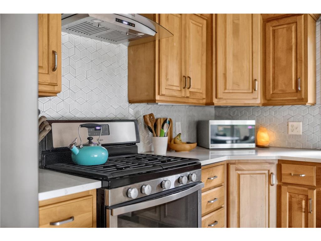 1393 White Birch Court NW Oronoco MN 55960 7089799 image10