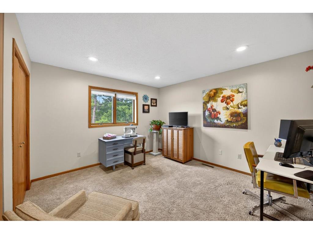 1393 White Birch Court NW Oronoco MN 55960 7089799 image52