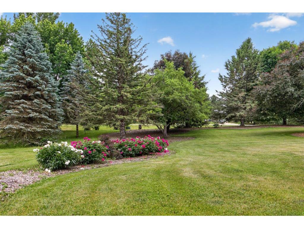 1393 White Birch Court NW Oronoco MN 55960 7089799 image87