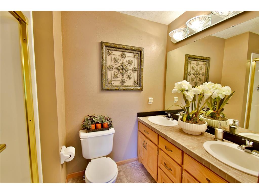 13938 298th Avenue NW Baldwin Twp MN 55371 7084869 image20