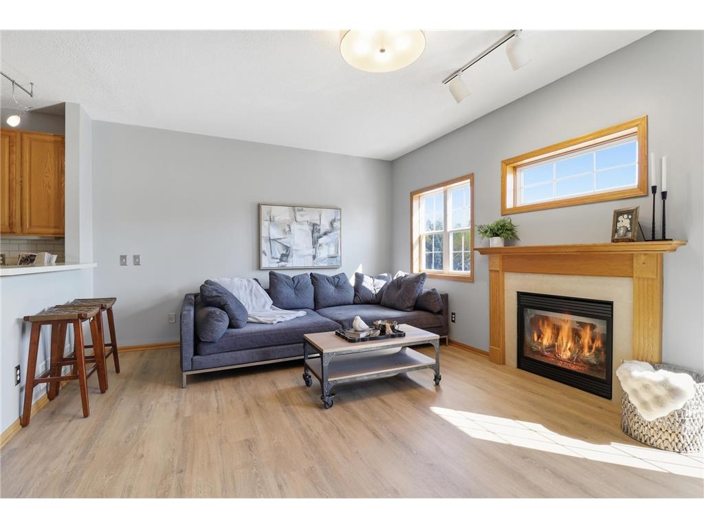 13944 Ventura Place Savage MN 55378 7064613 image8