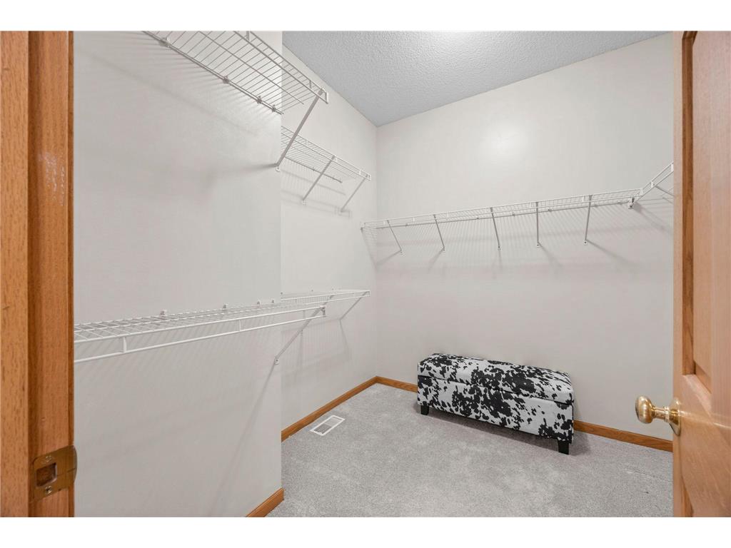 13956 Shoreside Court Savage MN 55378 7063819 image41