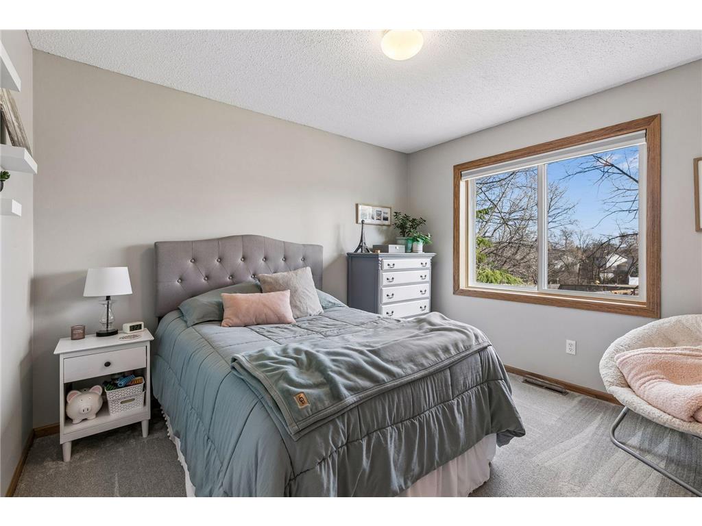13964 Dander Court Rosemount MN 55068 7045196 image19