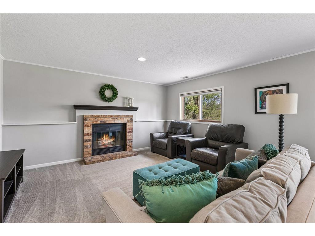 13964 Dander Court Rosemount MN 55068 7045196 image24