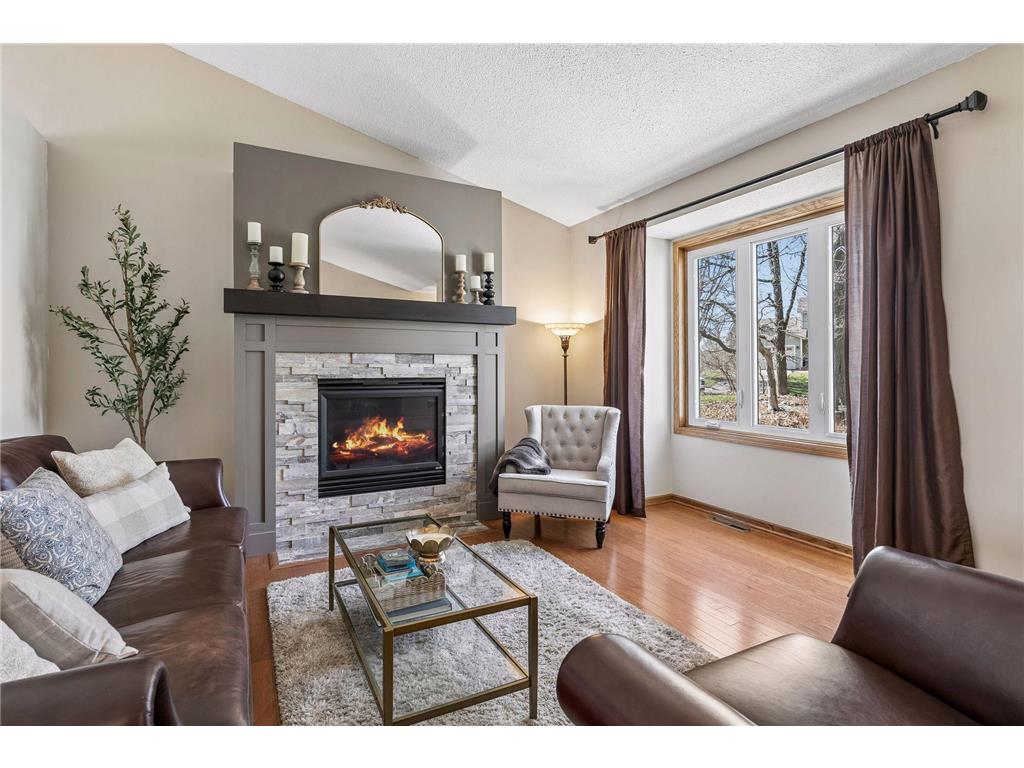 13964 Dander Court Rosemount MN 55068 7045196 image4